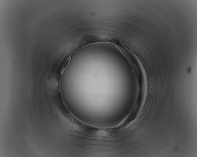 X0000089920176200707061026