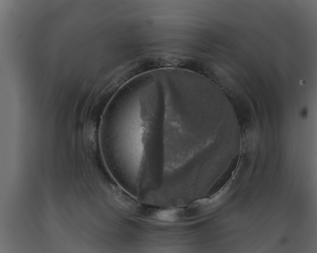 X0000089920178200707061026