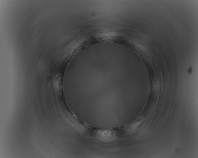 X0000089920181200707061026