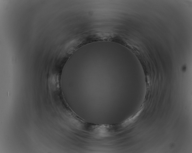 X0000089920182200707061026