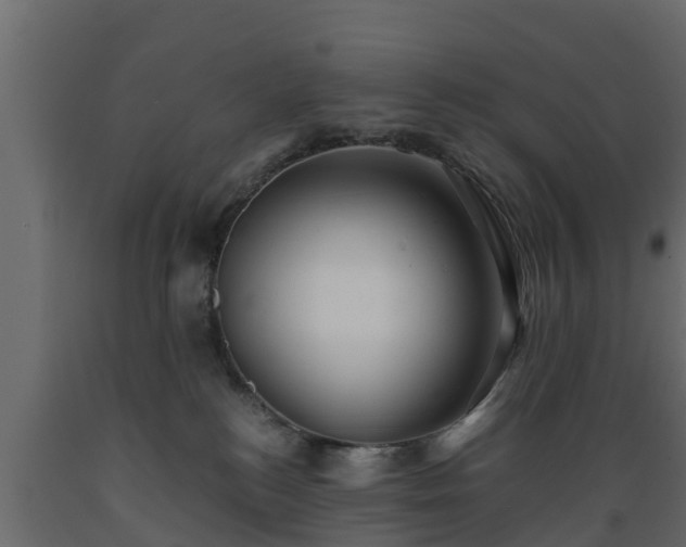 X0000089920184200707061026