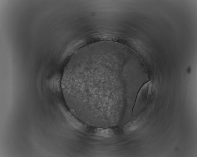 X0000089920185200707061026