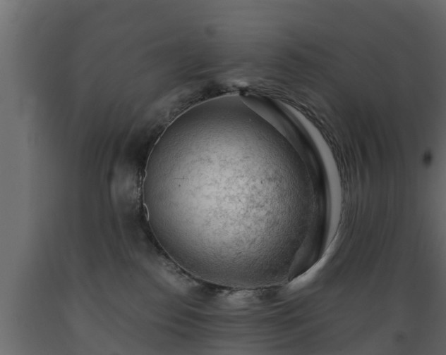 X0000089920186200707061026