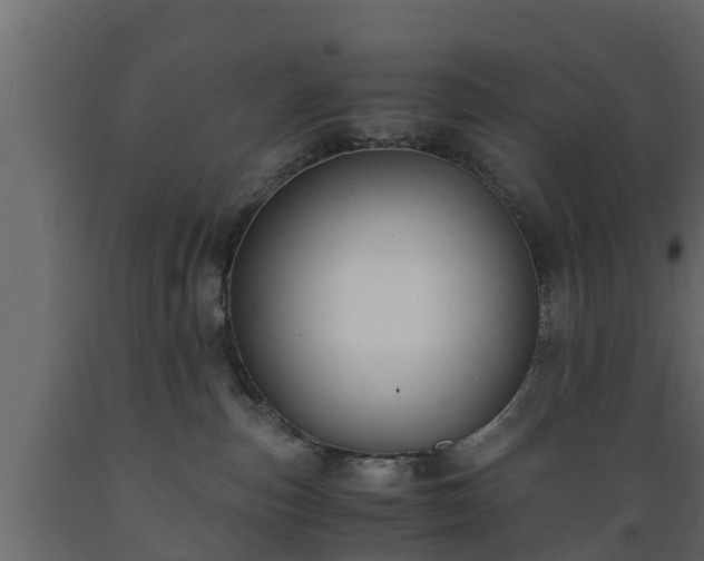 X0000089920187200707061026