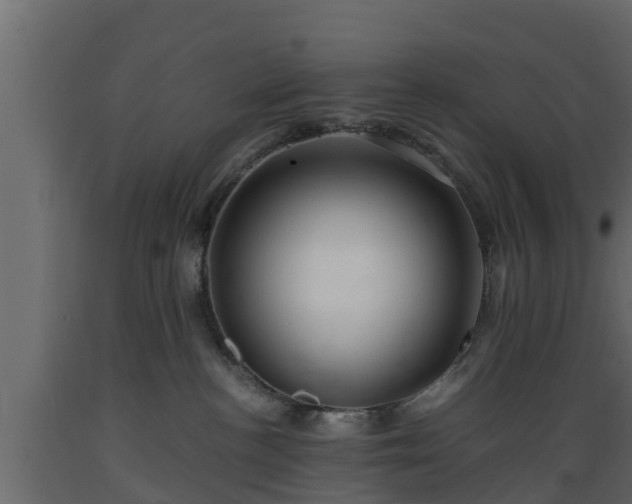 X0000089920188200707061026