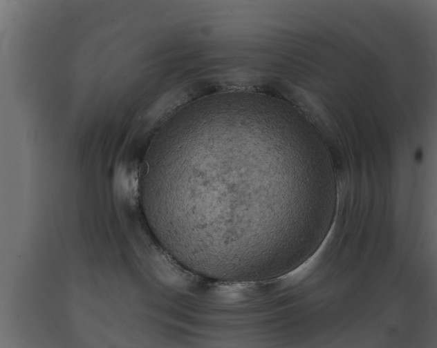 X0000089920190200707061026