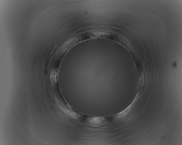X0000089920191200707061026