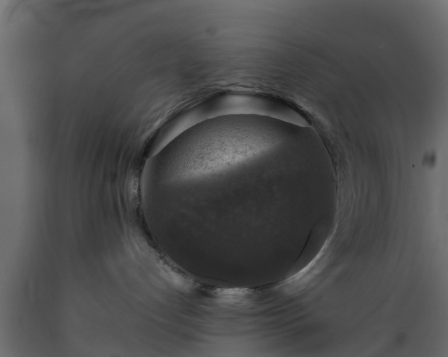 X0000089920192200707061026