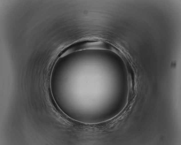 X0000089920193200707061026
