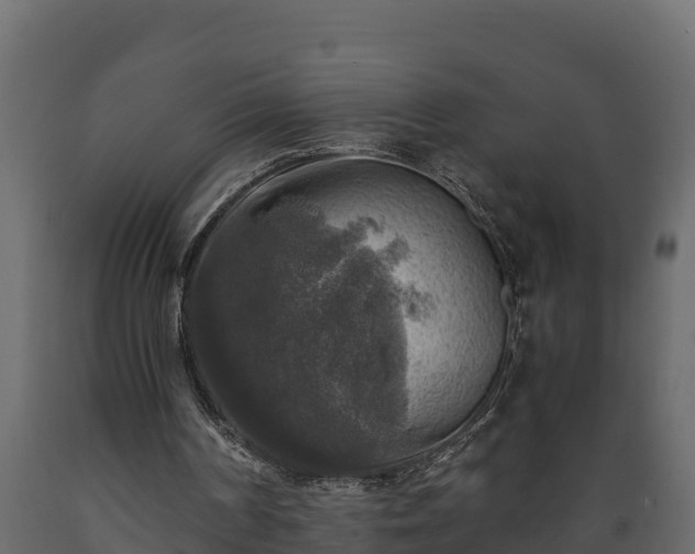 X0000089920194200707061026