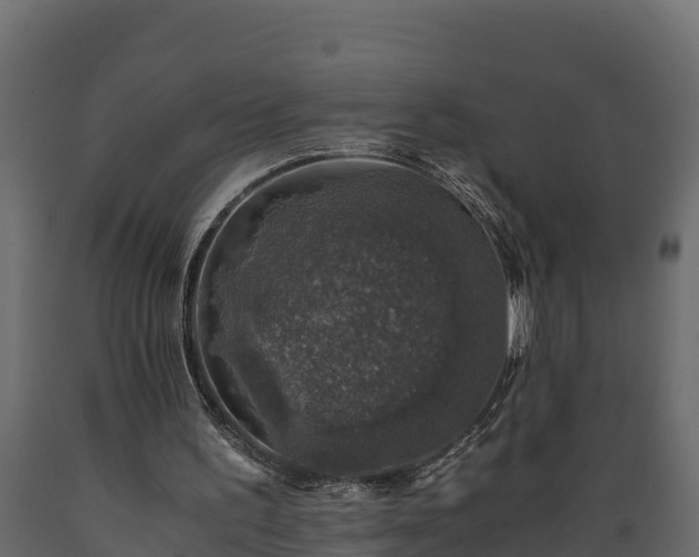 X0000089920195200707061026