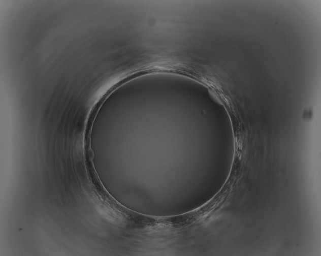 X0000089920196200707061026