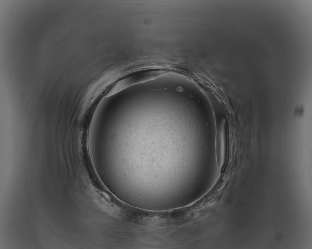 X0000089920197200707061026