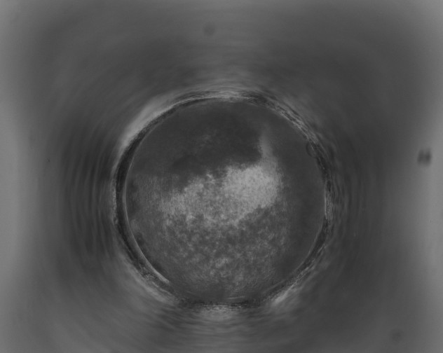 X0000089920198200707061026