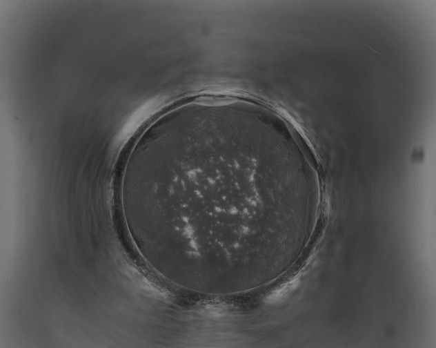 X0000089920199200707061026