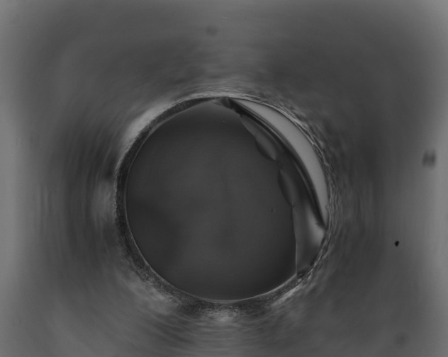 X0000089920200200707061026