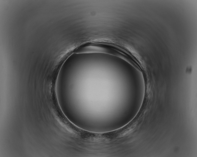 X0000089920201200707061026