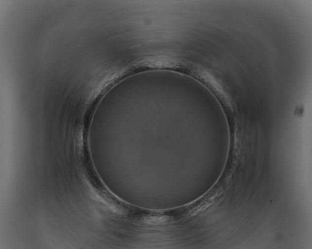 X0000089920202200707061026