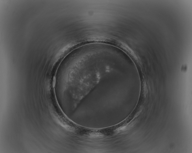 X0000089920203200707061026