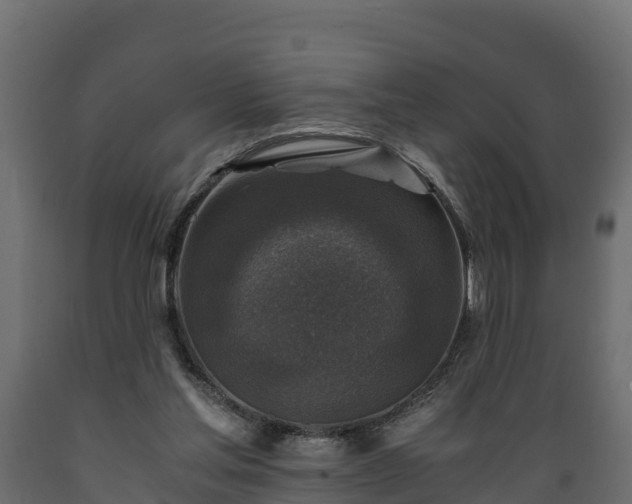 X0000089920205200707061026