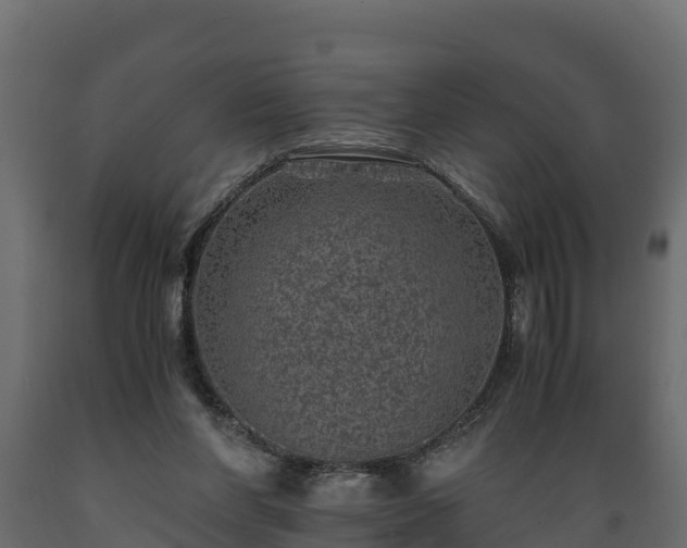 X0000089920206200707061026