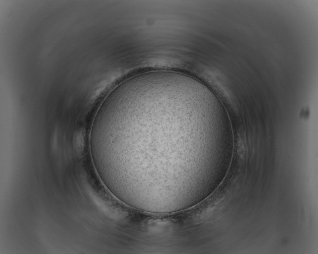 X0000089920208200707061026