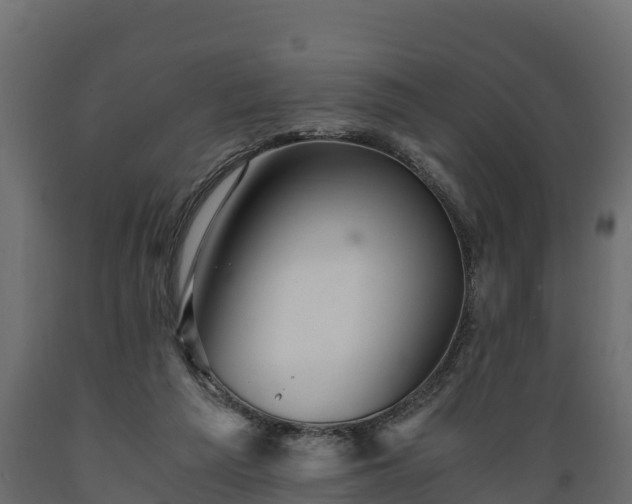 X0000089920209200707061026