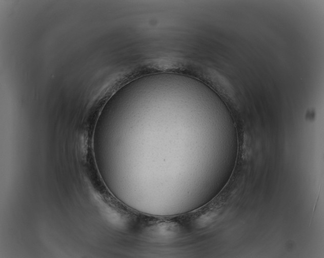 X0000089920210200707061026