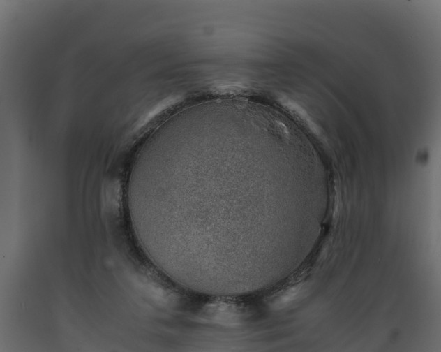 X0000089920211200707061026