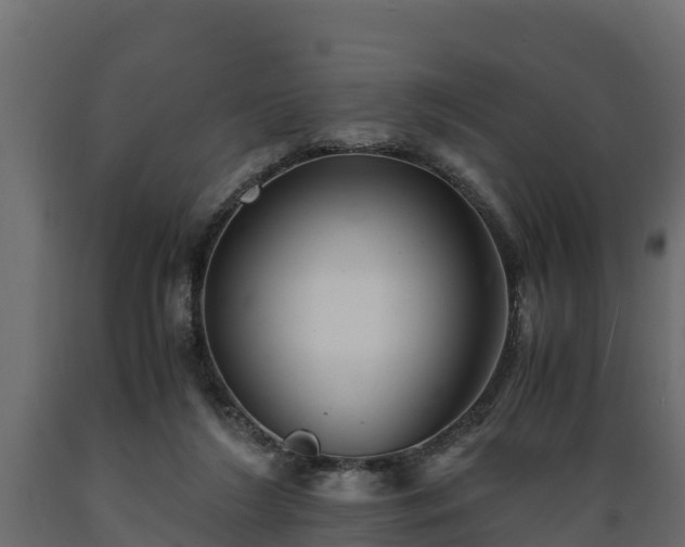 X0000089920212200707061026