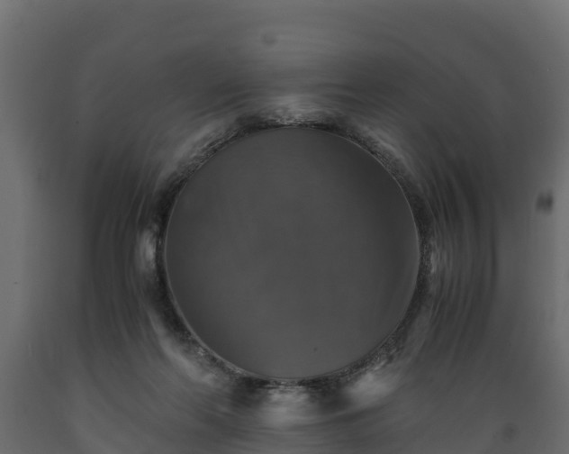 X0000089920214200707061026