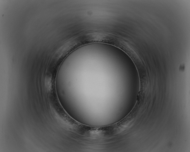 X0000089920216200707061026