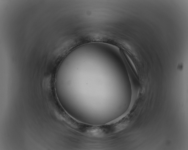 X0000089920217200707061026