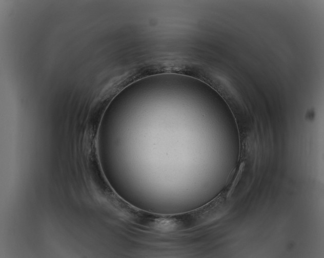X0000089920218200707061026
