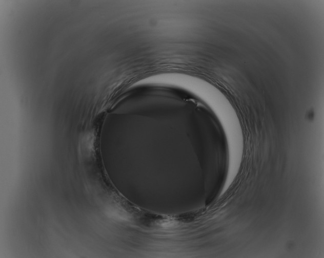 X0000089920219200707061025
