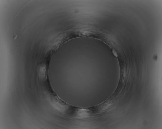 X0000089920222200707061025