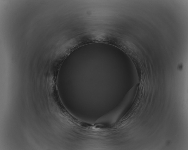 X0000089920223200707061025