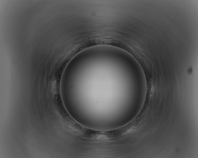 X0000089920224200707061025