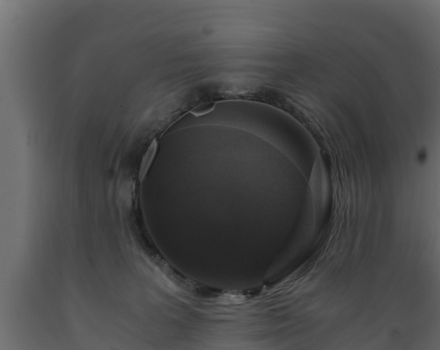 X0000089920227200707061025