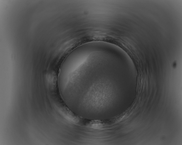 X0000089920228200707061025
