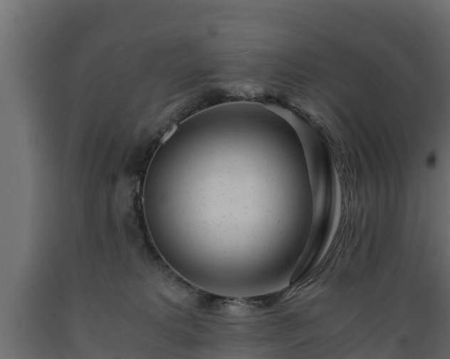 X0000089920229200707061025