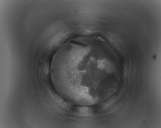 X0000089920230200707061025