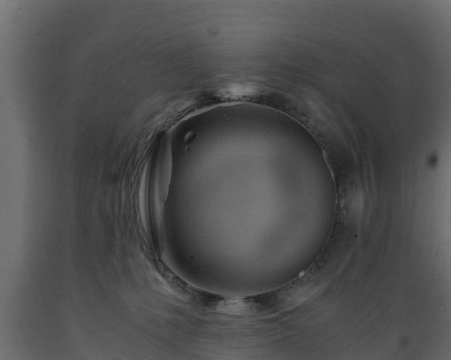 X0000089920231200707061025
