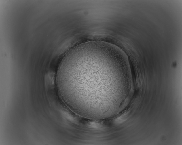 X0000089920232200707061025