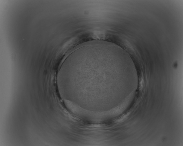 X0000089920233200707061025