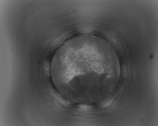 X0000089920234200707061025