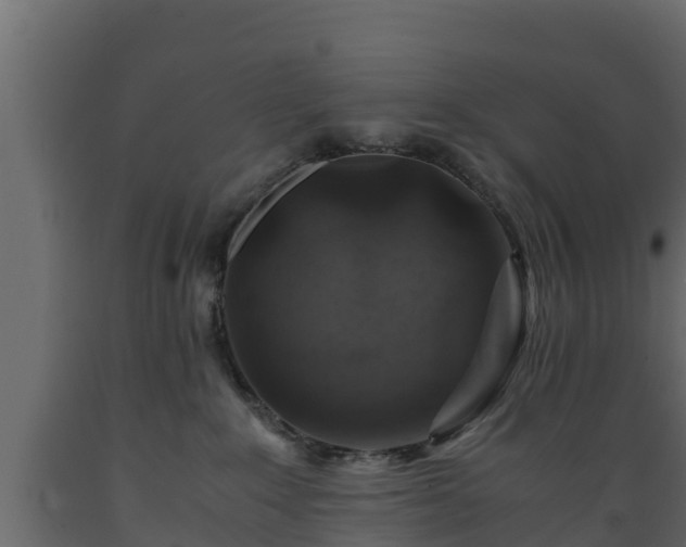 X0000089920235200707061025