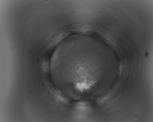 X0000089920236200707061025