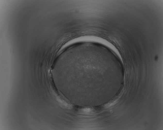 X0000089920237200707061025