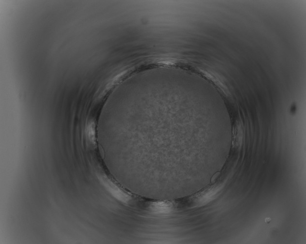 X0000089920238200707061025